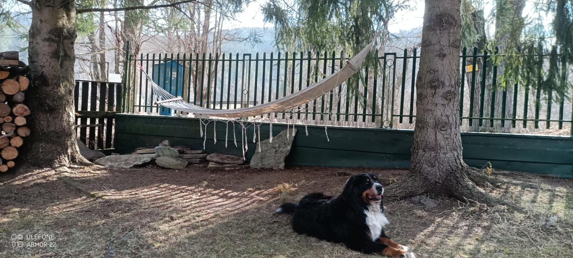 Podlesok 697 Villa Hrabušice Dış mekan fotoğraf