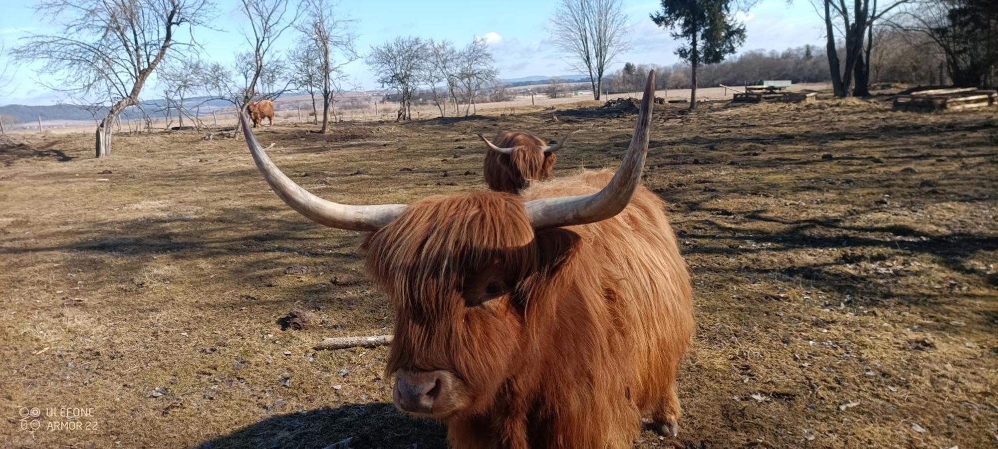 Podlesok 697 Villa Hrabušice Dış mekan fotoğraf